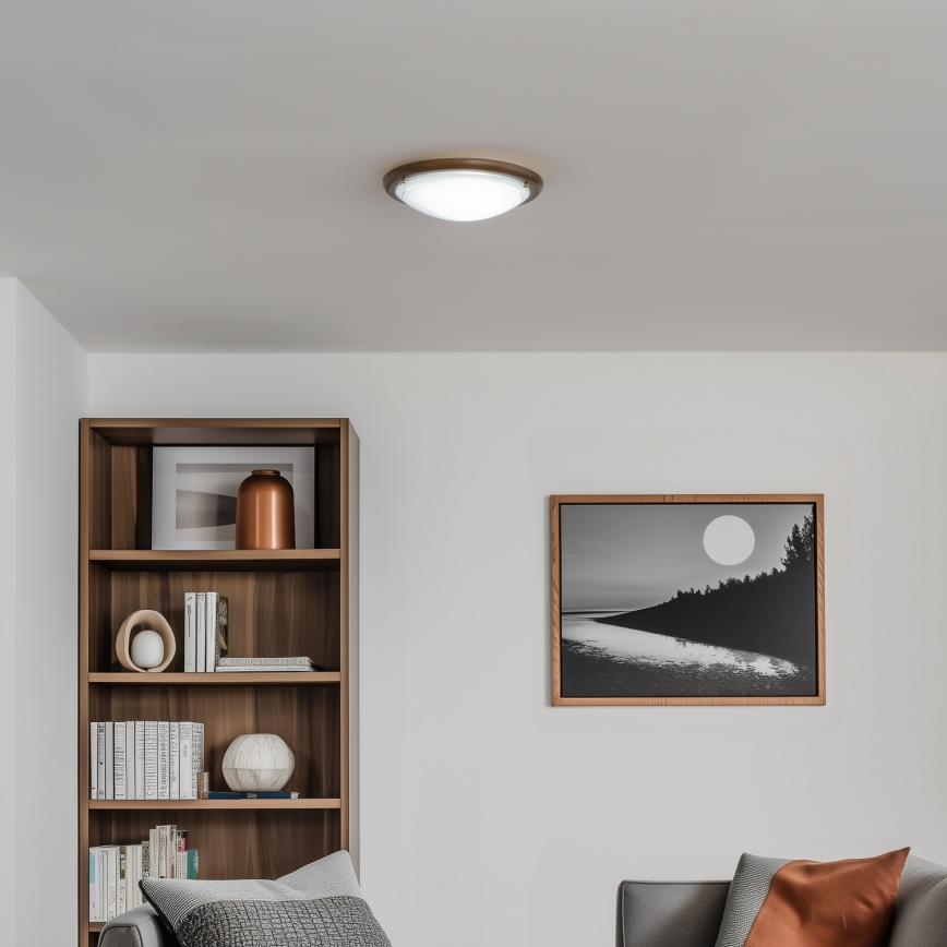 Rabalux - Griestu lampa 1xE27/60W/230V d. 30 cm
