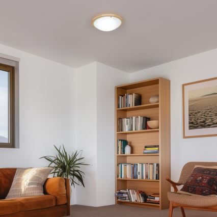 Rabalux - Griestu lampa 2xE27/60W/230V d. 38 cm