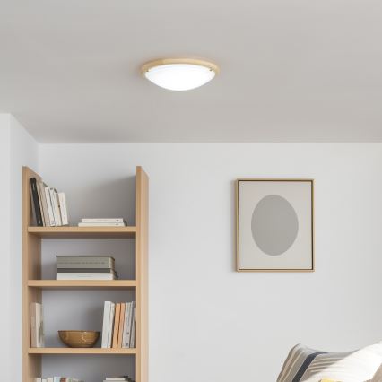 Rabalux - Griestu lampa 2xE27/60W/230V d. 38 cm