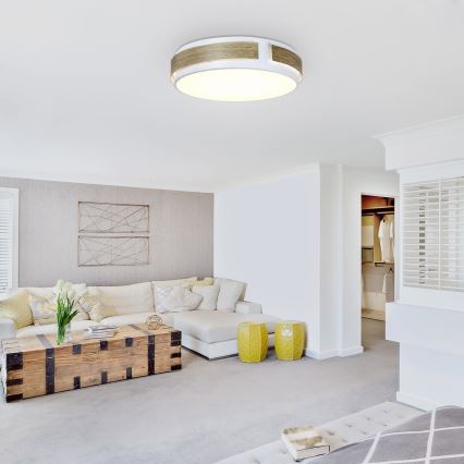 Rabalux - aptumšojama LED griestu lampa LED/24W/230V Ø 42 cm