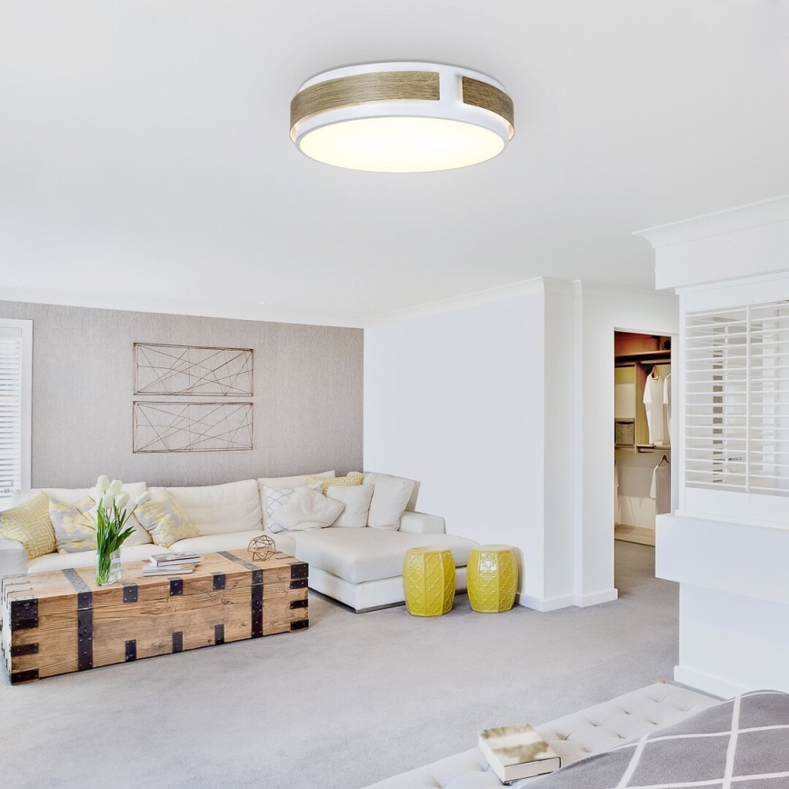 Rabalux - aptumšojama LED griestu lampa LED/24W/230V Ø 42 cm