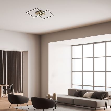 Rabalux - LED Griestu lampa LED/24W/230V