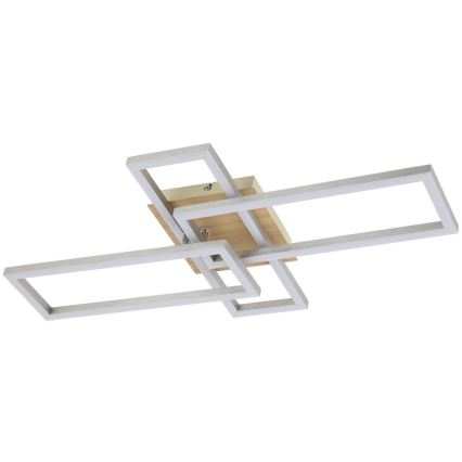 Rabalux - LED Griestu lampa LED/24W/230V