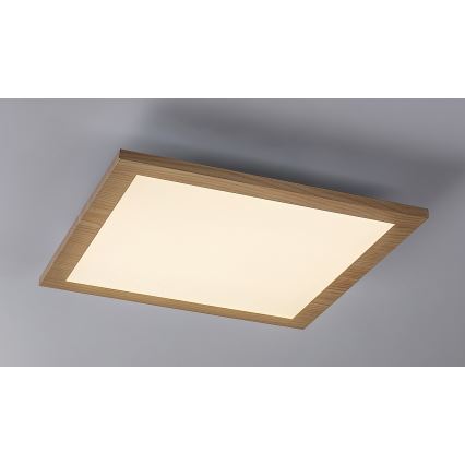 Rabalux - LED Virsapmetuma panelis LED/12W/230V 4000K