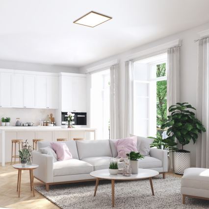 Rabalux - LED Pieliekams panelis LED/40W/230V 4000K