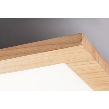 Rabalux - LED Pieliekams panelis LED/40W/230V 4000K