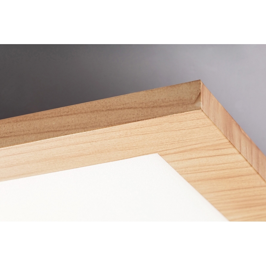 Rabalux - LED Pieliekams panelis LED/40W/230V 4000K