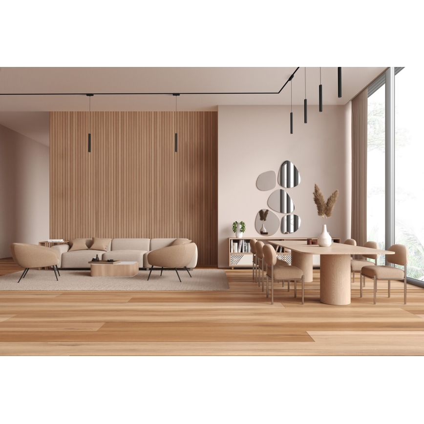 Rabalux - LED Lustra ar auklu 1 fāzes sliežu sistēmai LED/5W/230V 3000K melna