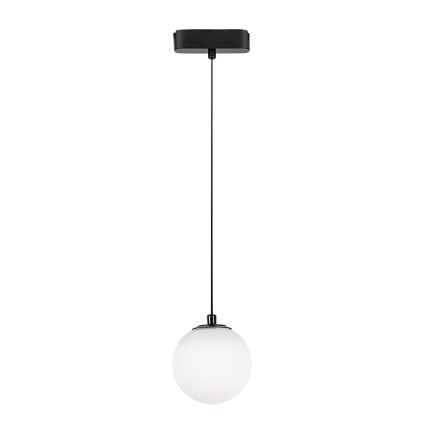 Rabalux - LED Lustra ar auklu 1 fāzes sliežu sistēmai LED/5W/230V 4000K melna