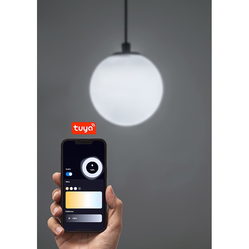 Rabalux - LED Aptumšojama lustra ar auklu 1 fāzes sliežu sistēmai LED/5W/24V 2700-5500K Wi-Fi Tuya melna