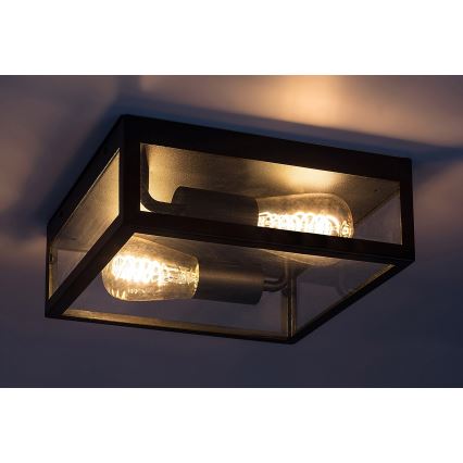 Rabalux - Āra griestu lampa 2xE27/60W/230V IP23