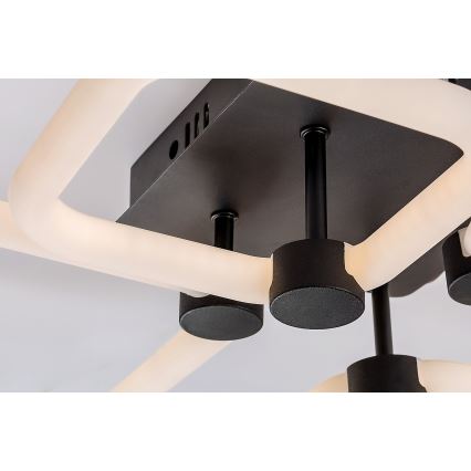 Rabalux - LED regulējama griestu lampa LED/47W/230V 3000/4000/6000K + tālvadība 46x54 cm