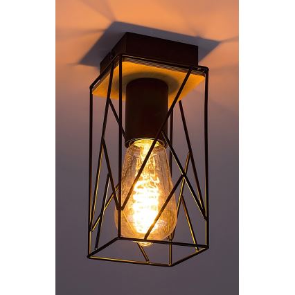 Rabalux - Griestu lampa 1xE27/40W/230V