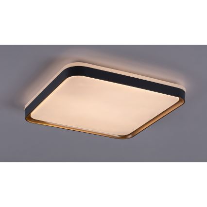 Rabalux - LED Griestu lampa LED/26W/230V 3000K