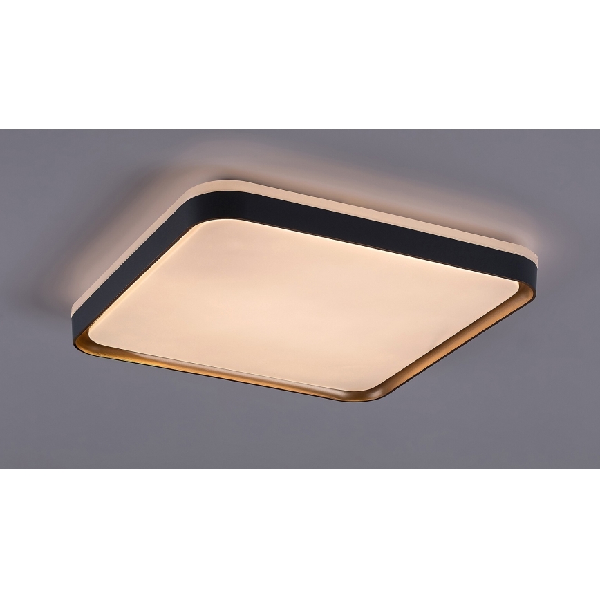 Rabalux - LED Griestu lampa LED/26W/230V 3000K