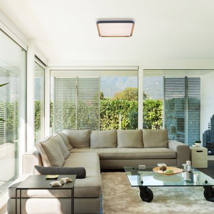 Rabalux - LED Griestu lampa LED/26W/230V 3000K