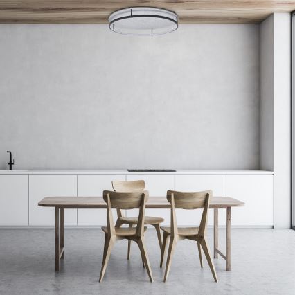 Rabalux - LED griestu gaismeklis LED/40W/230V 3000/4000K Ø 57,5 cm