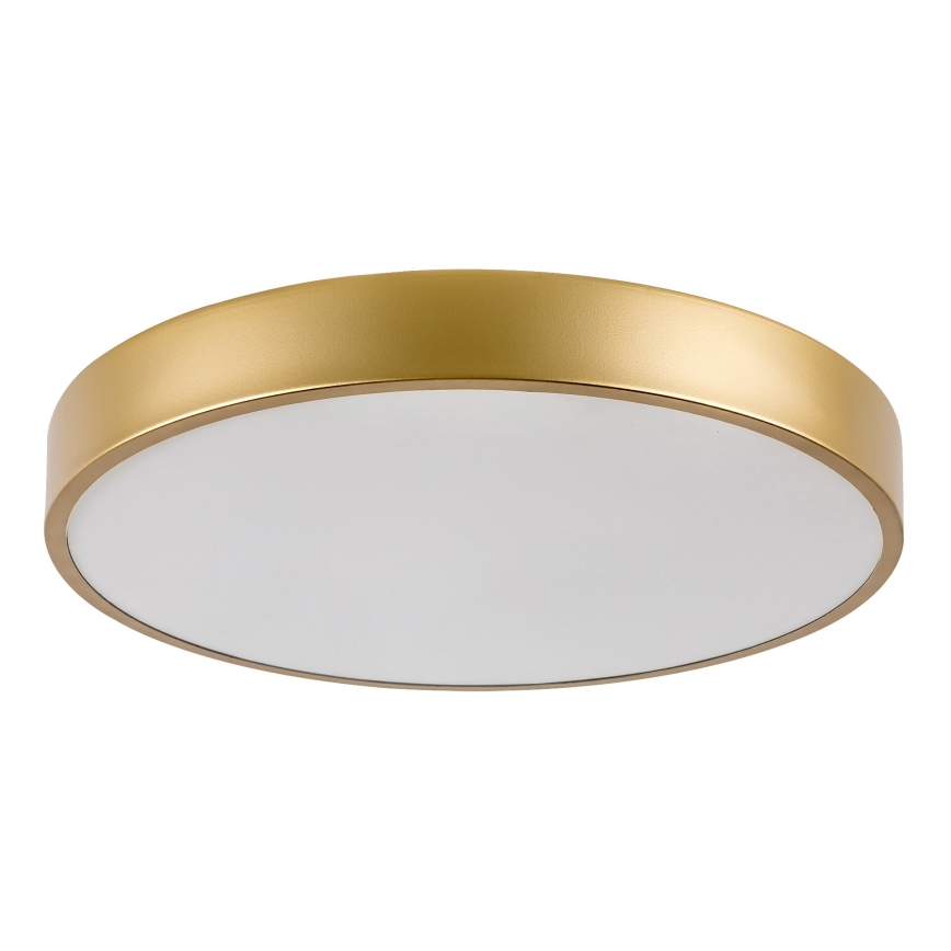 Rabalux - LED Griestu lampa LED/36W/230V 3000K