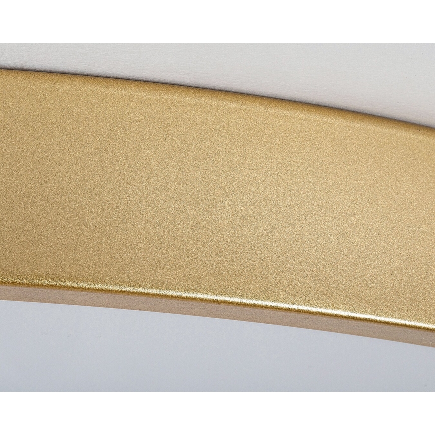 Rabalux - LED aptumšojama griestu lampa LED/60W/230V 3000–6000 K + tālvadība diametrs 60 cm