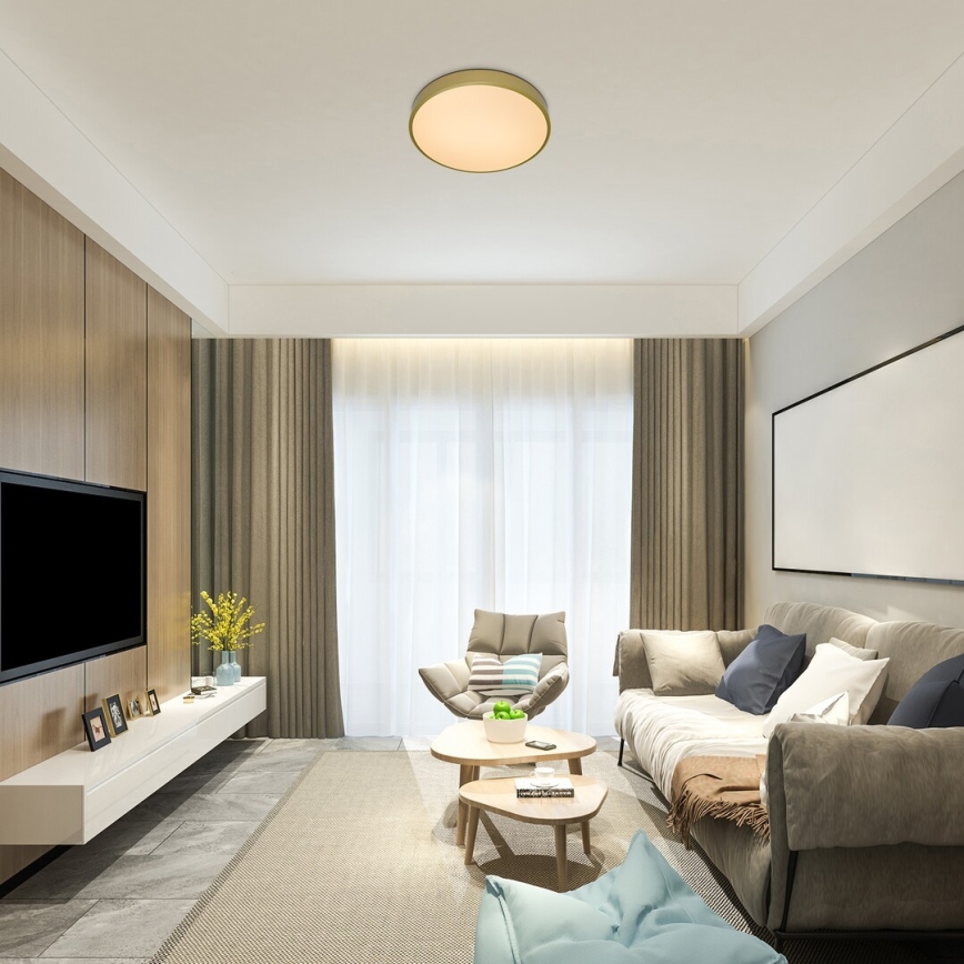 Rabalux - LED aptumšojama griestu lampa LED/60W/230V 3000–6000 K + tālvadība diametrs 60 cm