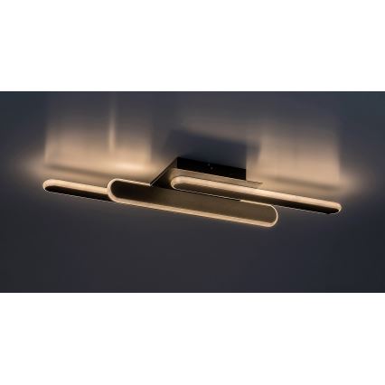 Rabalux - LED Griestu lampa LED/18W/230V 3000/4000K