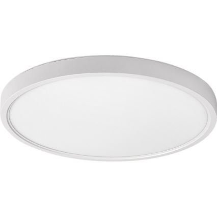 Rabalux - LED Griestu lampa LED/24W/230V 4000K d. 30 cm balta