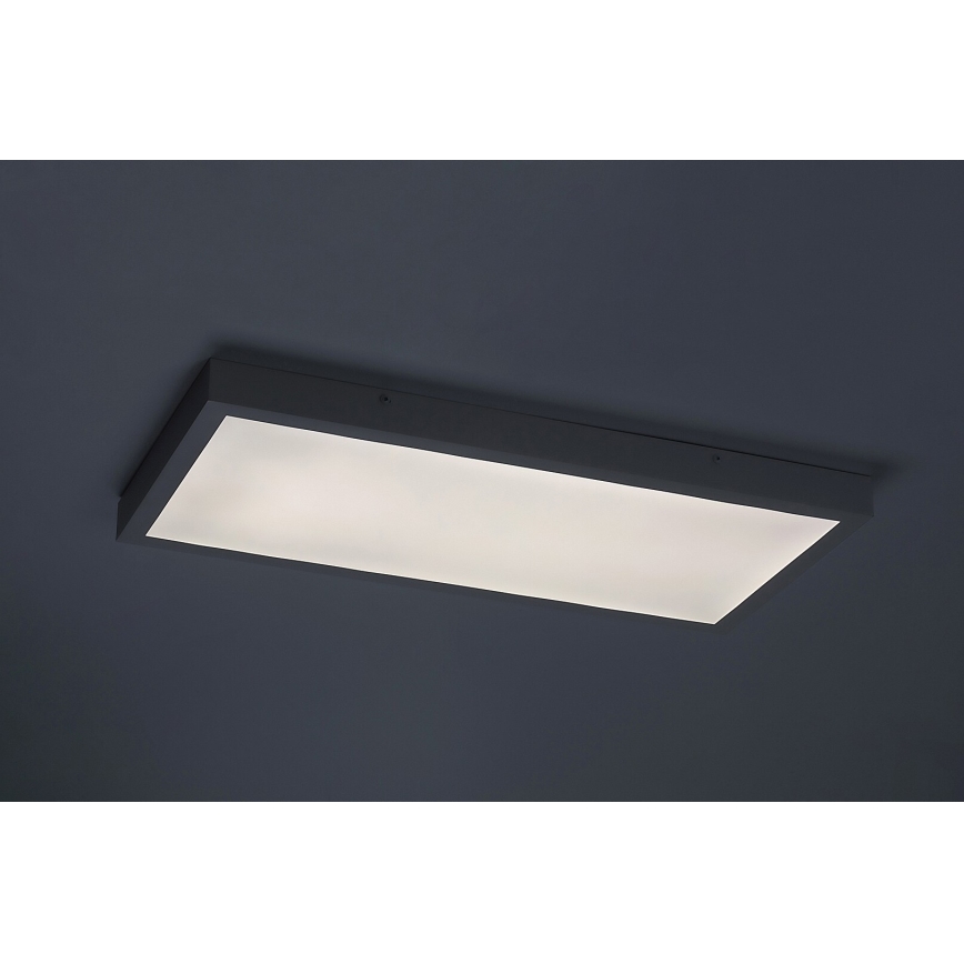 Rabalux - LED Virsapmetuma panelis LED/24W/230V 4000K 60x30 cm