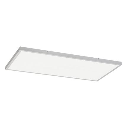 Rabalux - LED Virsapmetuma panelis LED/80W/230V 4000K 120x60 cm