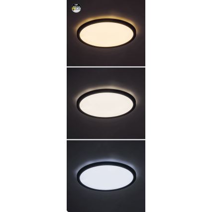 Rabalux 71096 - LED Griestu lampa GONZALO LED/24W/230V d. 29 cm melna