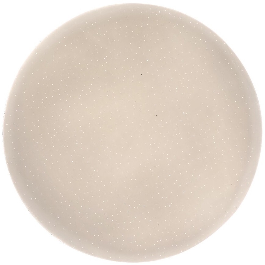 Rabalux - LED griestu lampa LED/12W/230V 4000K Ø 25,5 cm