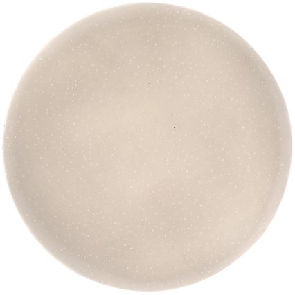 Rabalux - LED griestu lampa LED/24W/230V 4000K Ø 37,5 cm