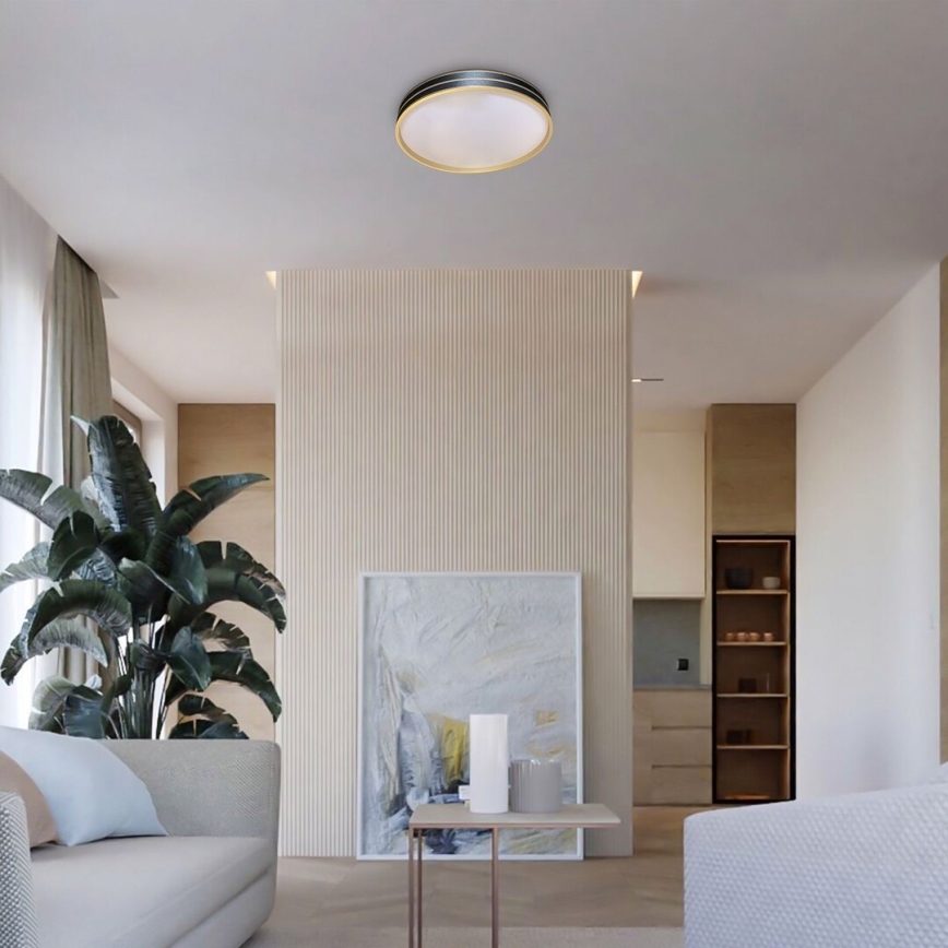 Rabalux - LED regulējams griestu lukturis LED/24W/230V 3000-6500K Ø 39 cm + tālvadības pults