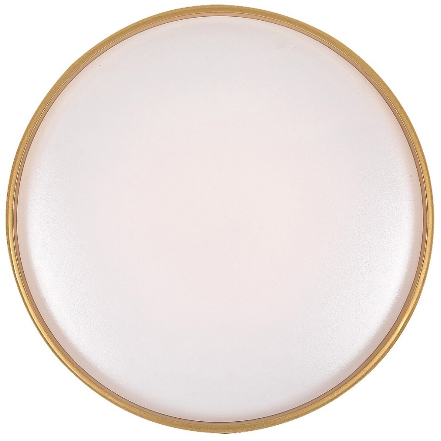 Rabalux - LED regulējams griestu lukturis LED/24W/230V 3000-6500K Ø 39 cm + tālvadības pults