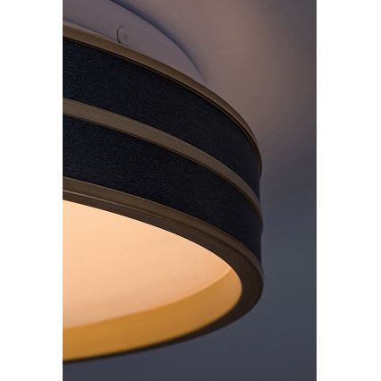 Rabalux - LED regulējams griestu lukturis LED/24W/230V 3000-6500K Ø 39 cm + tālvadības pults