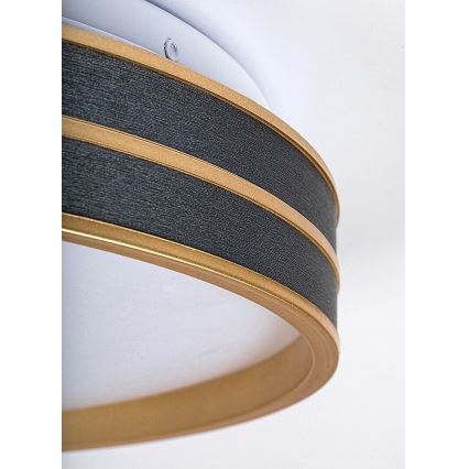 Rabalux - LED regulējams griestu lukturis LED/24W/230V 3000-6500K Ø 39 cm + tālvadības pults