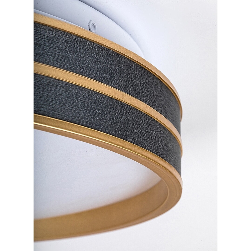 Rabalux - LED regulējams griestu lukturis LED/24W/230V 3000-6500K Ø 39 cm + tālvadības pults