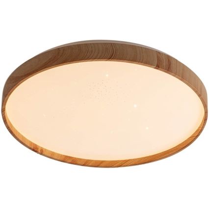 Rabalux - LED Griestu lampa LED/24W/230V 3000K d. 38 cm