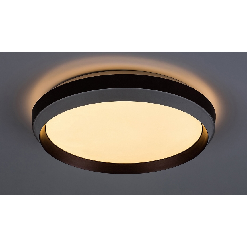 Rabalux - LED Griestu lampa LED/24W/230V 3000K