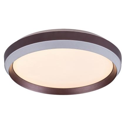 Rabalux - LED Griestu lampa LED/24W/230V 3000K