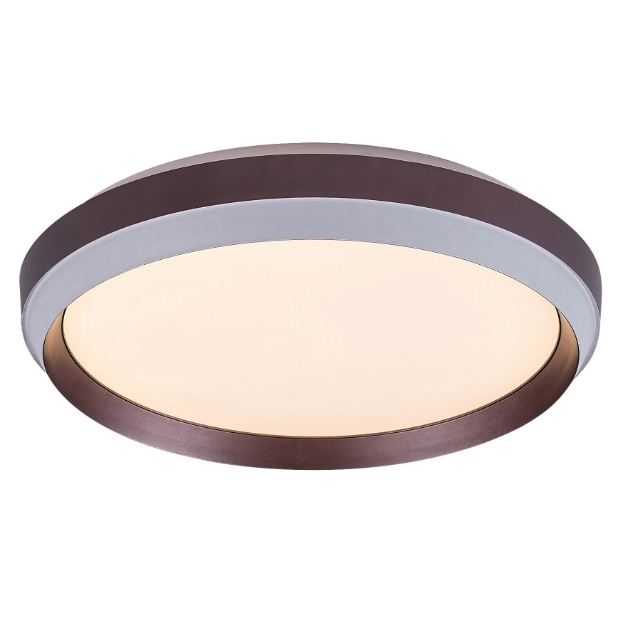 Rabalux - LED Griestu lampa LED/24W/230V 3000K