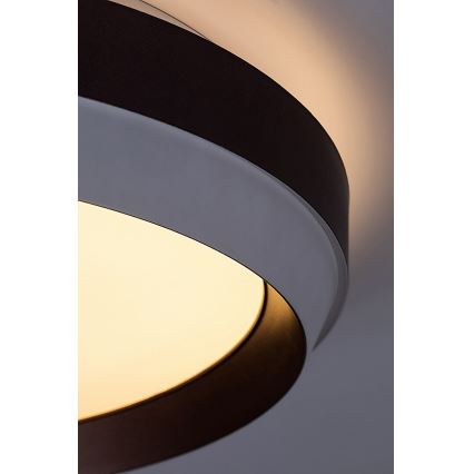 Rabalux - LED Griestu lampa LED/24W/230V 3000K