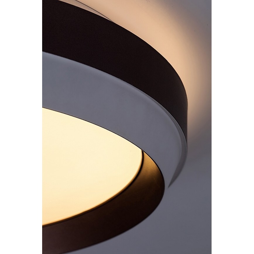 Rabalux - LED Griestu lampa LED/24W/230V 3000K