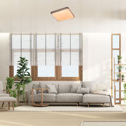 Rabalux - LED griestu gaismeklis LED/40W/230V 3000K 48x48 cm