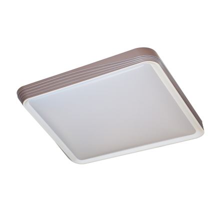 Rabalux - LED Griestu lampa LED/40W/230V 3000K