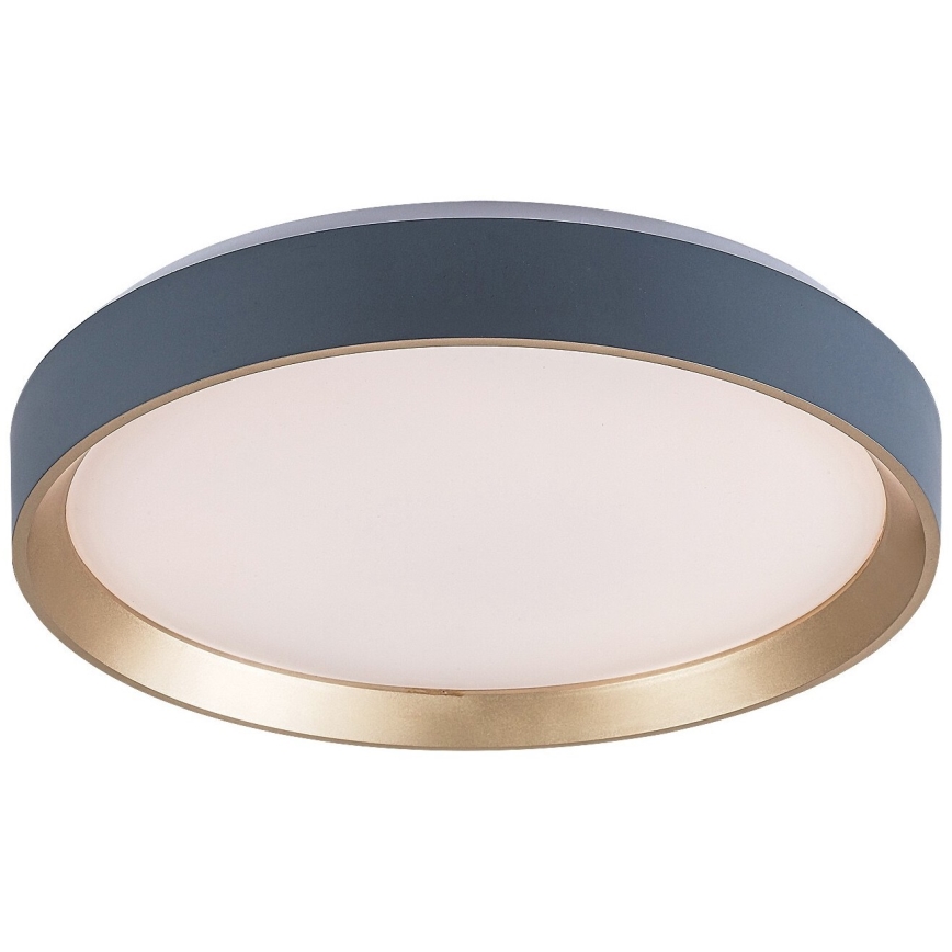 Rabalux - LED Griestu lampa LED/25W/230V 3000K d. 38 cm