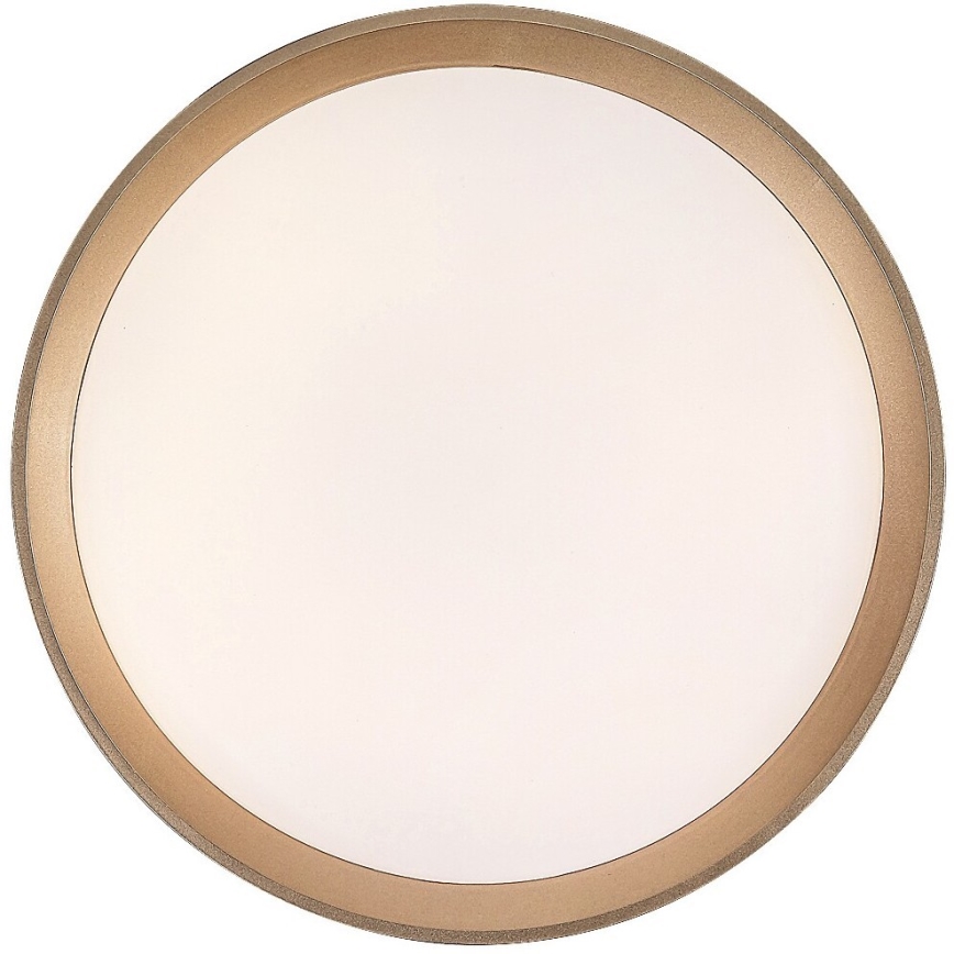 Rabalux - LED Griestu lampa LED/25W/230V 3000K d. 38 cm