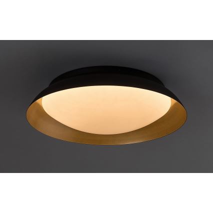 Rabalux - LED Griestu lampa LED/24W/230V 3000K d. 40 cm