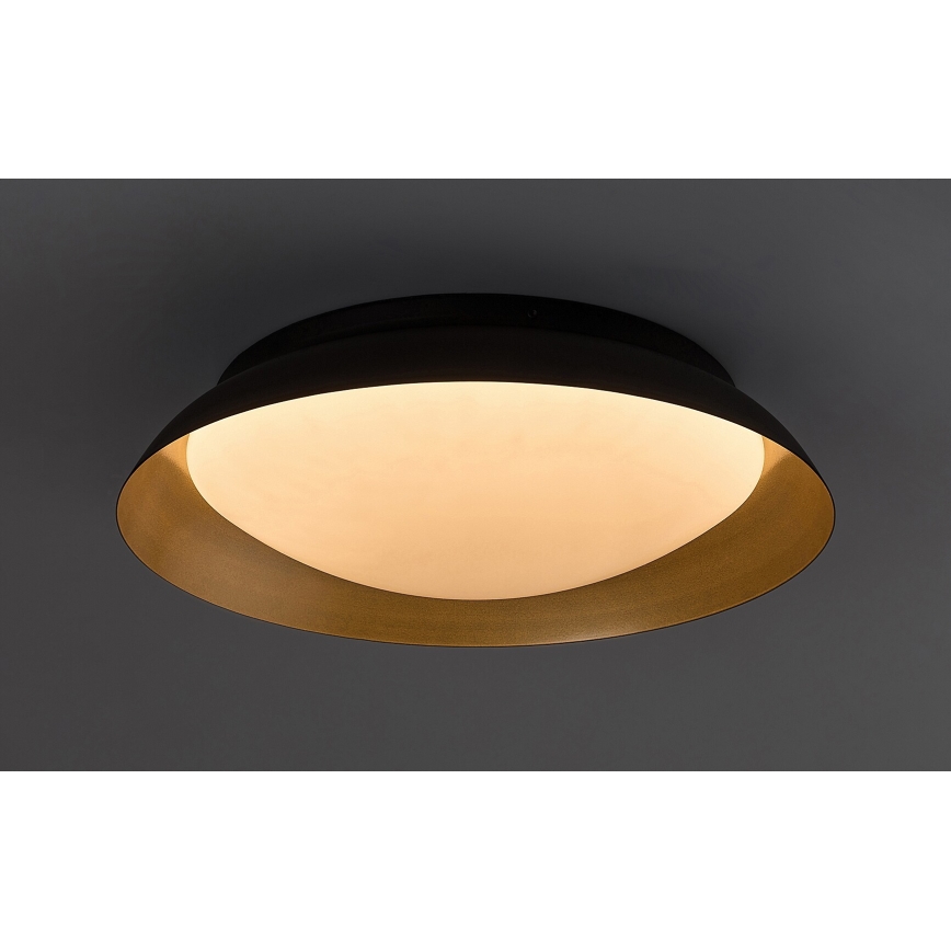 Rabalux - LED Griestu lampa LED/24W/230V 3000K d. 40 cm