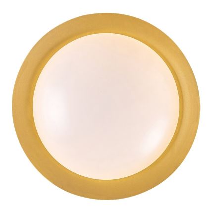 Rabalux - LED Griestu lampa LED/24W/230V 3000K d. 40 cm