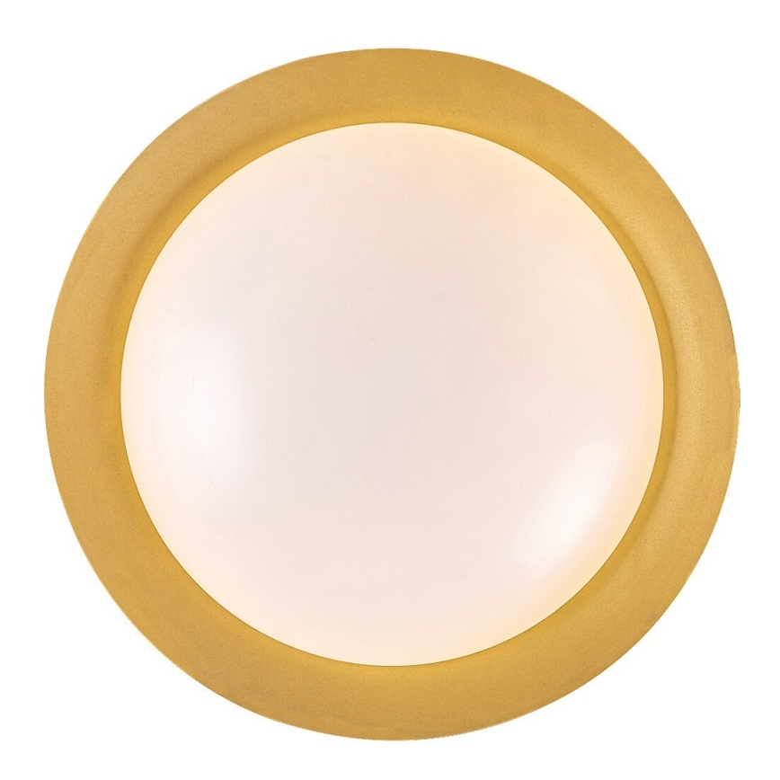 Rabalux - LED Griestu lampa LED/24W/230V 3000K d. 40 cm